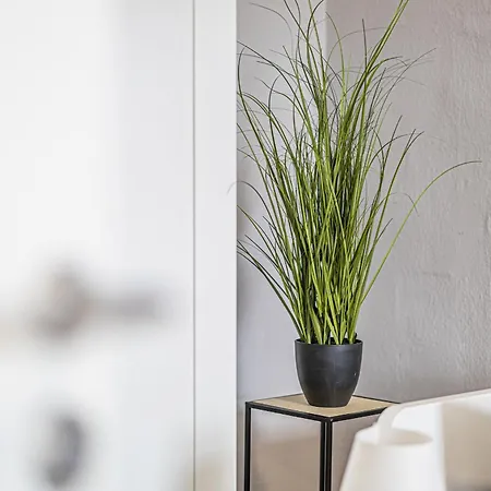 Apartament Lv Hauptbahnhof Halle *